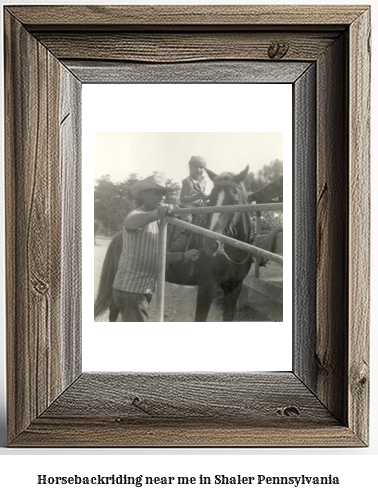 horseback riding near me in Shaler, Pennsylvania